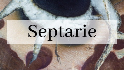 Septarie