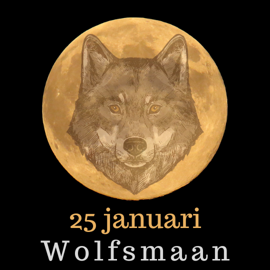 Wolfsmaan www.toen-ennu.nl
