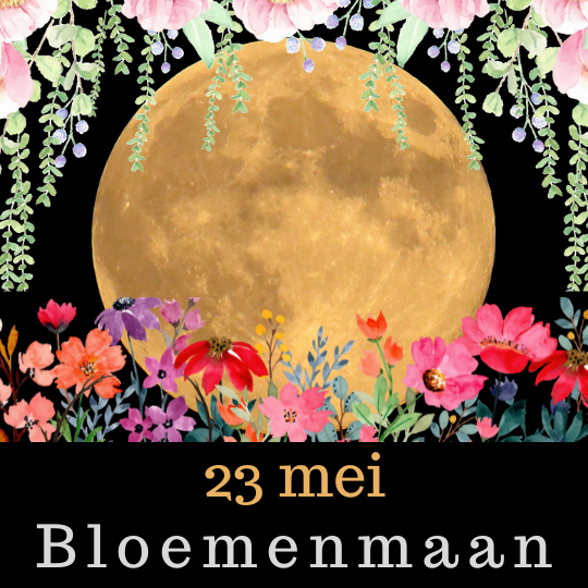 bloemenmaan www.toen-ennu.nl
