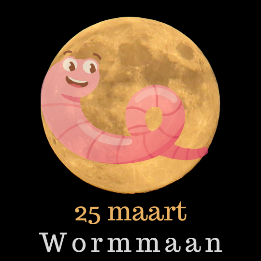 wormmaan www.toen-ennu.nl