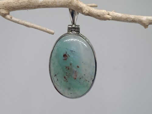 aquapraas - www. toenennu.nl