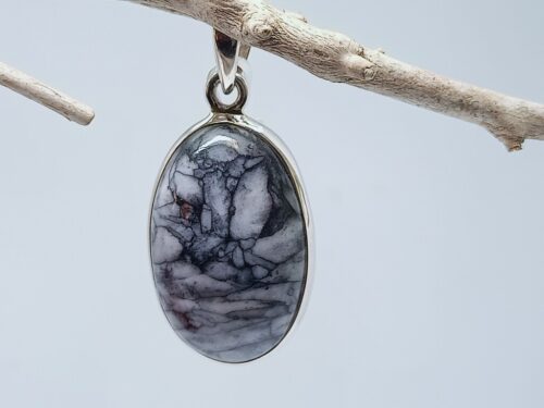 pinoliet - www. toenennu.nl