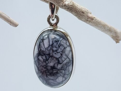 pinoliet - www. toenennu.nl