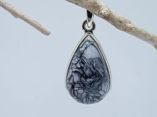 pinoliet - www. toenennu.nl