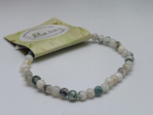 boomagaat- www. toenennu.nl