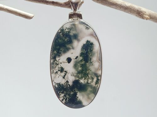 mosagaat - www. toenennu.nl