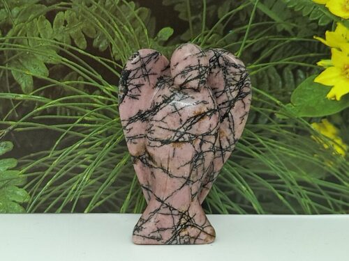 rhodoniet - www. toenennu.nl