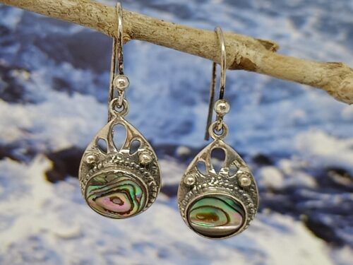 paua - www. toenennu.nl