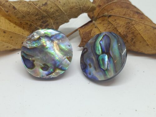 paua - www. toenennu.nl