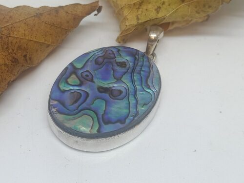 paua - www. toenennu.nl