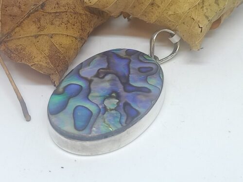 paua - www. toenennu.nl