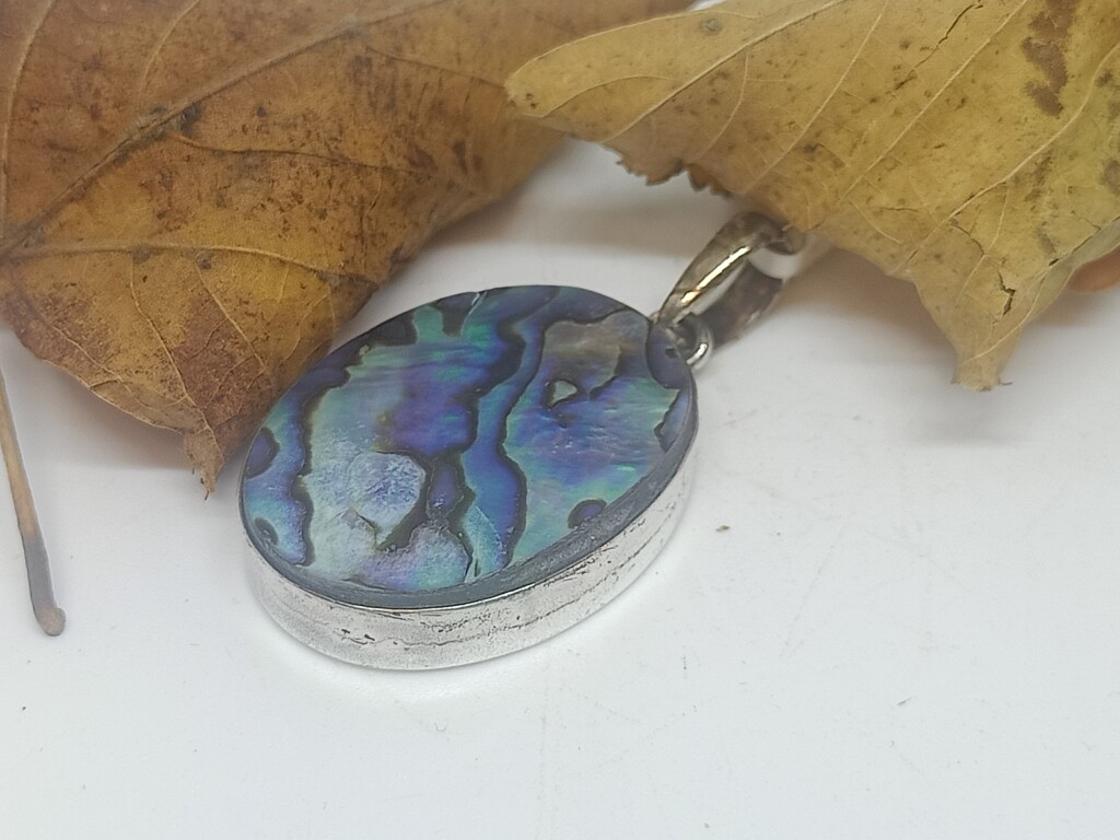 paua - www. toenennu.nl