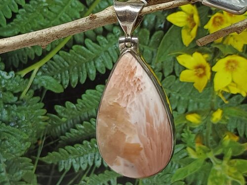 scolesiet - www. toenennu.nl