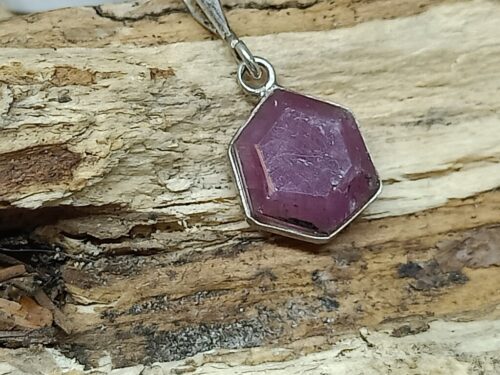 robijn - www. toenennu.nl