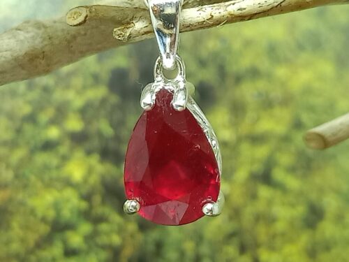 robijn - www. toenennu.nl