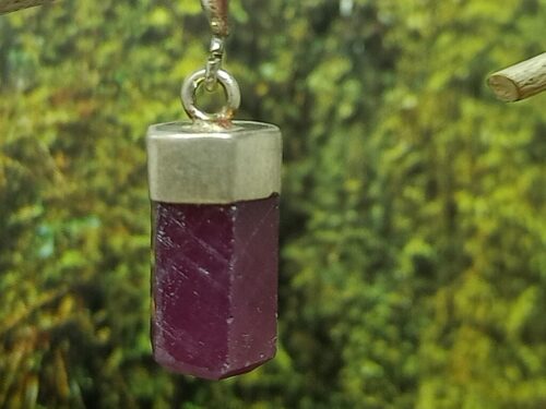 robijn - www. toenennu.nl