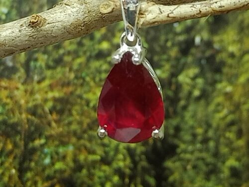 robijn - www. toenennu.nl