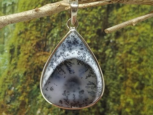 dendrietagaat - www. toenennu.nl