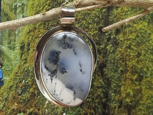 dendrietagaat - www. toenennu.nl