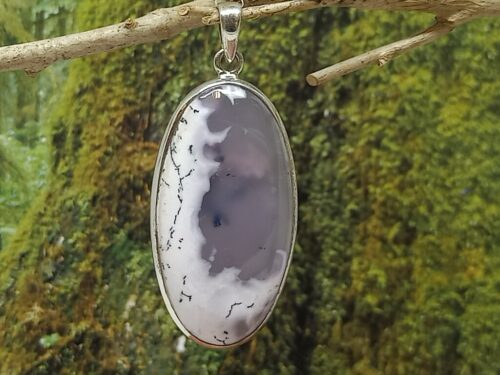 dendrietagaat - www. toenennu.nl