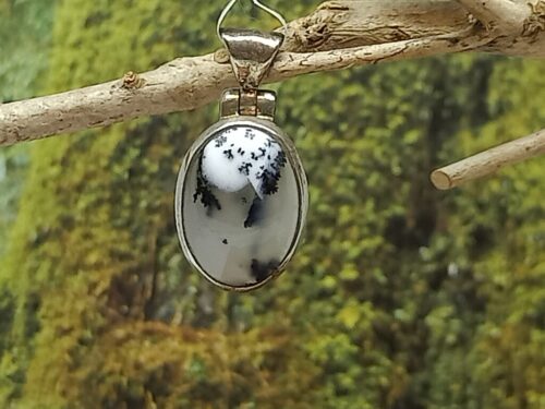 dendrietagaat - www. toenennu.nl