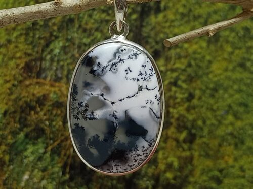 dendrietagaat - www. toenennu.nl