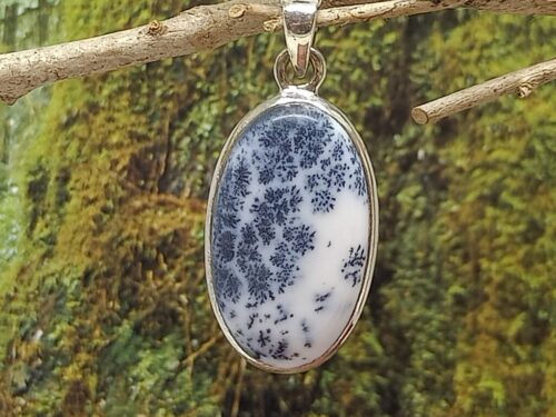 dendrietagaat - www. toenennu.nl