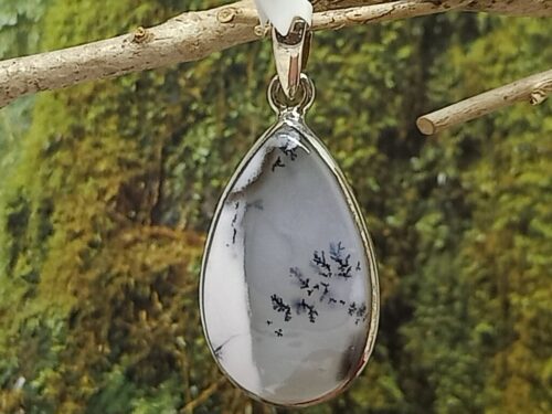 dendrietagaat - www. toenennu.nl