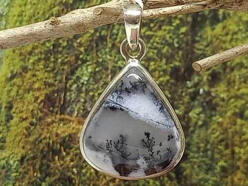 dendrietagaat - www. toenennu.nl