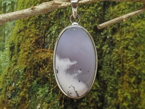 dendrietagaat - www. toenennu.nl