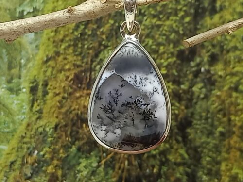 dendrietagaat - www. toenennu.nl