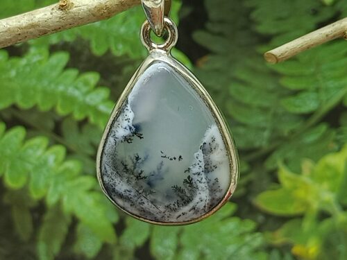 dendrietagaat - www. toenennu.nl