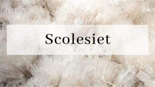 Scolesiet